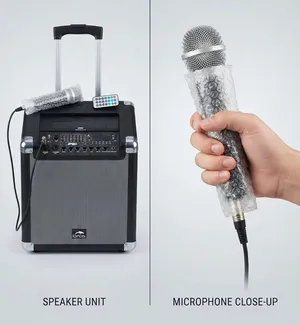 Portable Trolley speaker system with microphone & remote control( Almost ne, only used 3 times  )