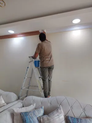 شغل دهانات