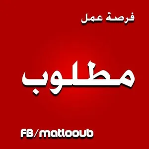 مطلوب لوحه 12برو تكون بلا ايكلاود
