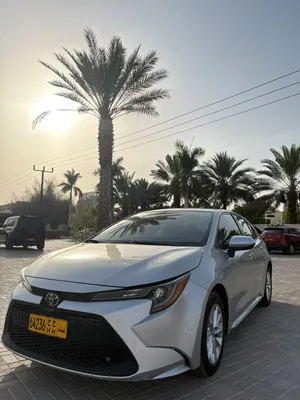 Used Toyota Corolla in Muscat