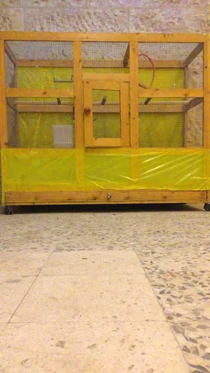 مطير للبيع على 20