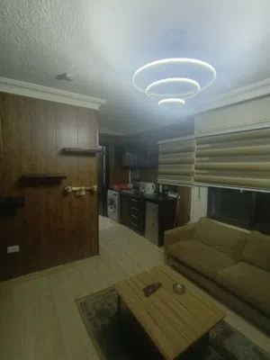45 m2 1 Bedroom Apartments for Rent in Amman Al Rabiah