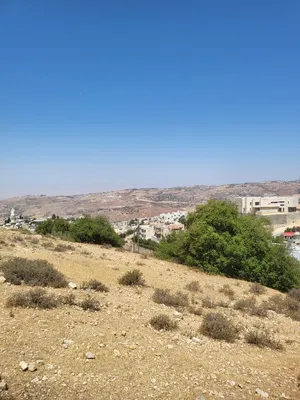 500م للبيع بأجمل مواقع ماحص الملاصق لبدر الجديدة حوض (الميدان الجنوبي) سكن ج خاص