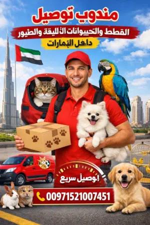 نقل وتوصيل القطط والكلاب والطيور وجميع الحيوانات الاليفه داخل الامارات