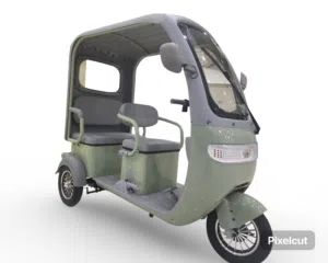 Electric tuk tuk