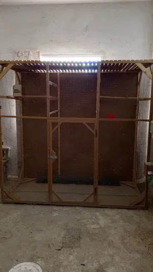 سزنة طيور لوح