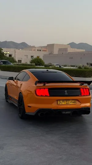 Used Ford Mustang in Muscat