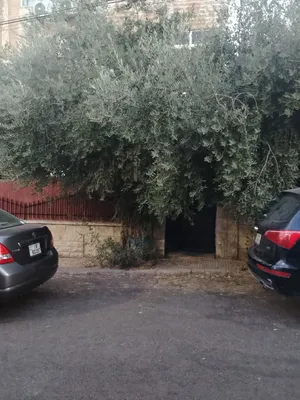 225 m2 2 Bedrooms Apartments for Sale in Amman 7th Circle