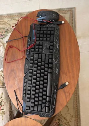 Mouse and keyboard
