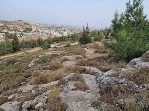 ارض للبيع قرب مستشفى دورا الحكومي