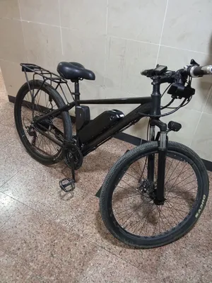Electric Bike for Sale – Removable Battery, LCD Display & Disc Brakes
