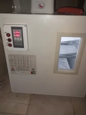 فقاسة اليازوري 176بيضة دجاج 400 بيضة فر