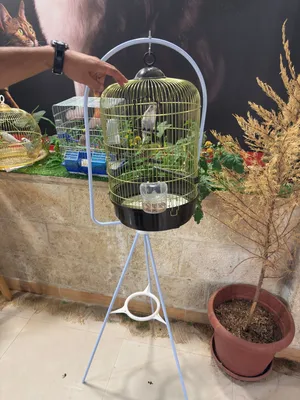 قفص ذهبي كبير افخم نوع، وكاله مع حماله
