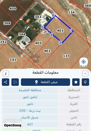 اراضي جنوب عمان ناعور بيت زرعه