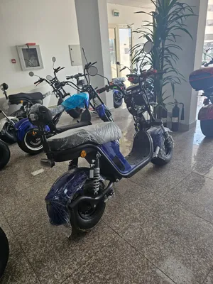 We want to sell the entire store, including scooters and maintenance equipment.