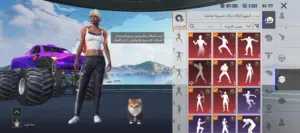 حساب ببجي للبيع