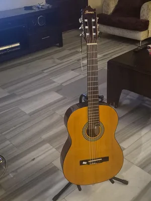 Guitar with bag and stand
