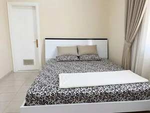 Bed and matters  Cabinet Dress table  Washing machine  Fridge  Gas cylinder  Dinnig table