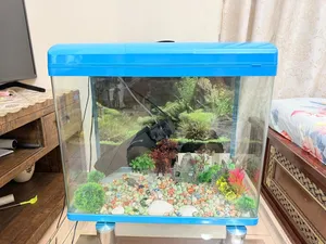 Big blue glass fish tank