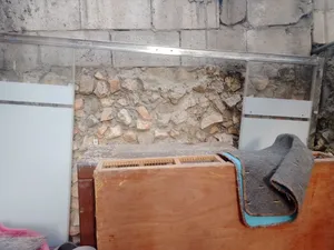 للبدل على طيور او البيع