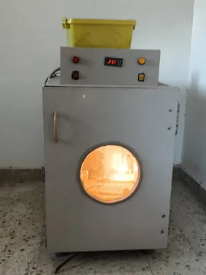 حضانة 500 بيضة