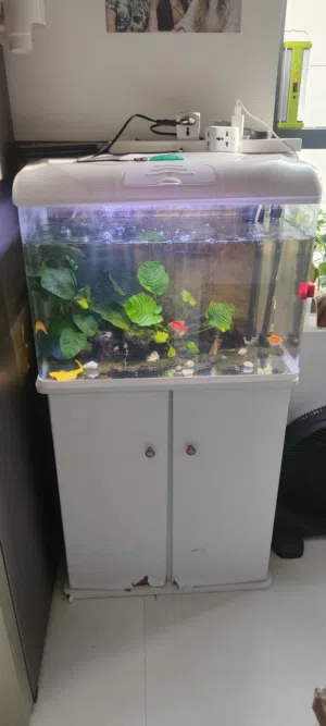 Acuarium  with stand with fish