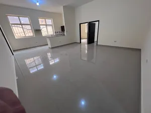 الأستاذ محمد الغندور