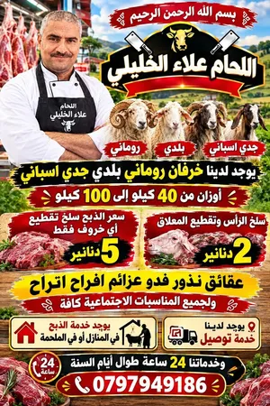 خروف بلدي روماني جدي اسباني