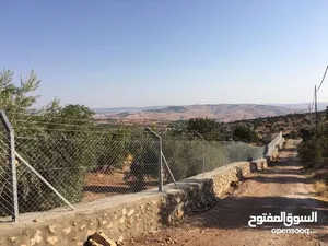 أرض مميزة في قمم العالوك للبيع