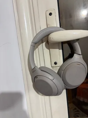 Sony WH-1000XM4 — Platinum Silver