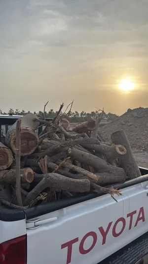 حطب للبيع اتريب 40