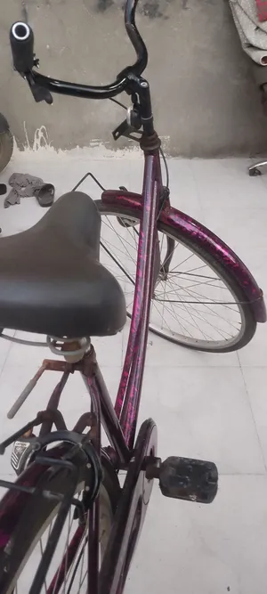 بيسكل سياحي نظيف       القبلة حي الجامعة