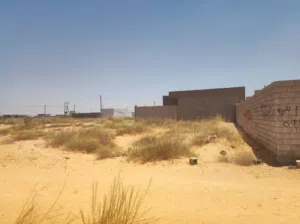 ارض للبيع مثلث القيو جامع التوحيد