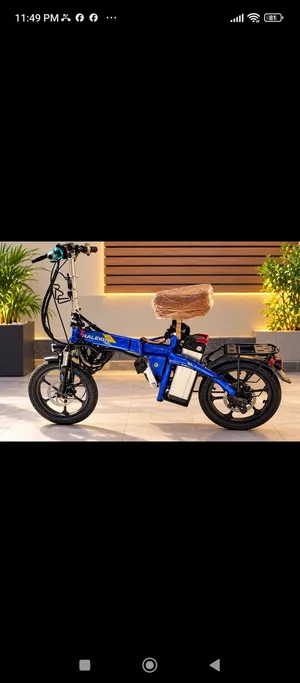 E BIKE for sale