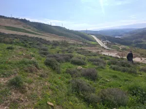 المصطبه جبه جرش