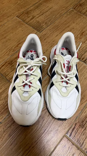 Adidas used shoes