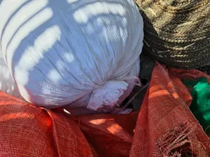 نفيعه نغال للبيع إنتاج السنه