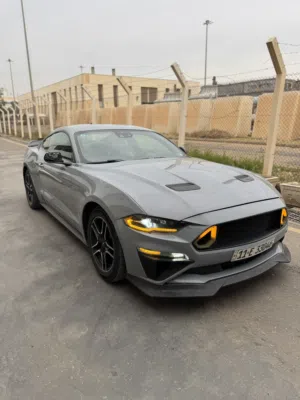 موستنك ايكوبوست
