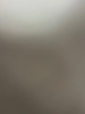 اغنام مختلف الانواع