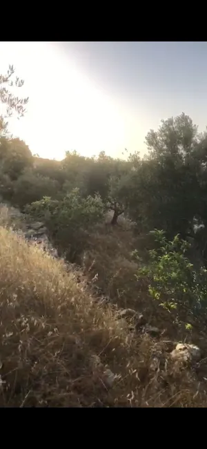 قطعة أرض مميزة ورائعة في الخليل