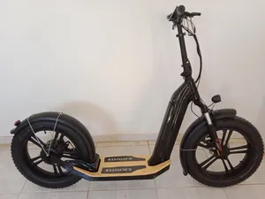 fat tyre all terrain electric scooter with alarm system
