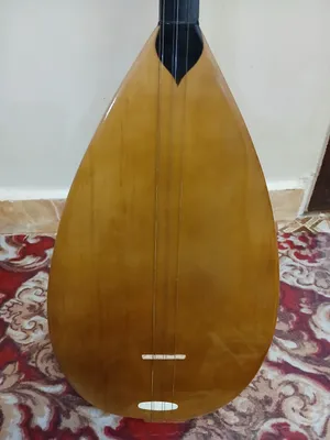 بزق بغلمه تركية للبيع