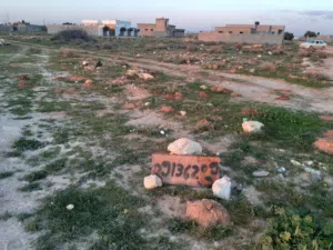 قابل للنقاش 700 متر  القصيبة الفعاكات شارع الاستراحات مميزة قطران تفتح علي شارعين اول قطعة في المخطط