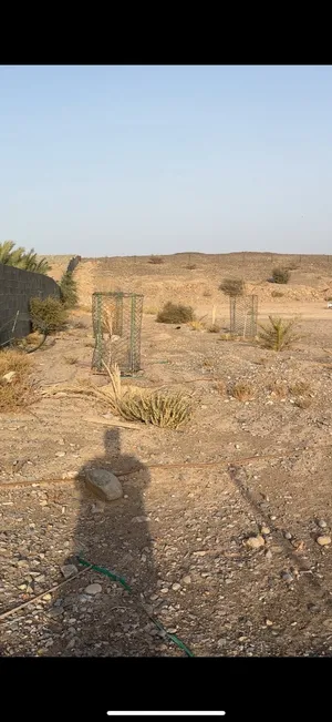 Farm Land for Rent in Al Dakhiliya Izki