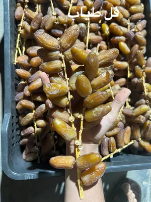 متوفر لدينا تمور ودان بجودة ممتازة وطعم مميز مكان مصراتة _ عباد