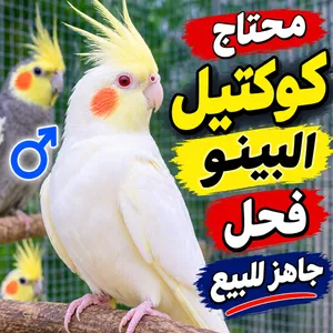 العنده يراسلني خاص وكون ممنون منه