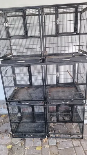 black cage 6 layer