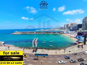 شقه في جليم ع البحر مباشرة