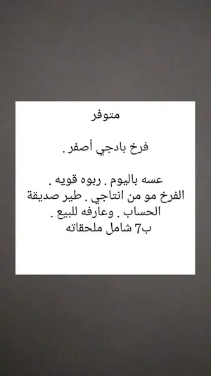 للبيع فروخ كوكتيل عس وقاطعين عس ربوه قويه طفرة سينامون . إنتاج الكويت . تربيه منزليه مافيهم خوف ولا