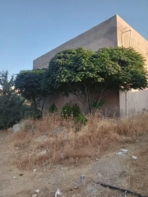 بيت للبيع بسعر لقطة